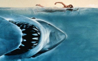 Top 5 Shark Horror Movies