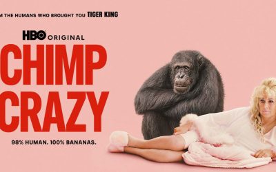 Chimp Crazy – Review | Max