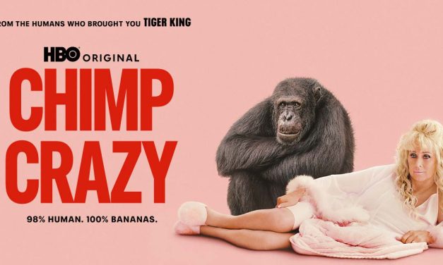 Chimp Crazy – Review | Max